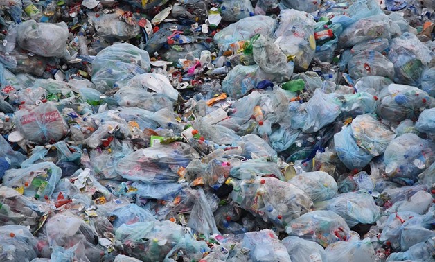 Plastics Ban and Recycling Options in Los Cabos