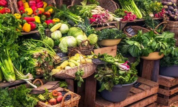 Farmers Markets in Los Cabos